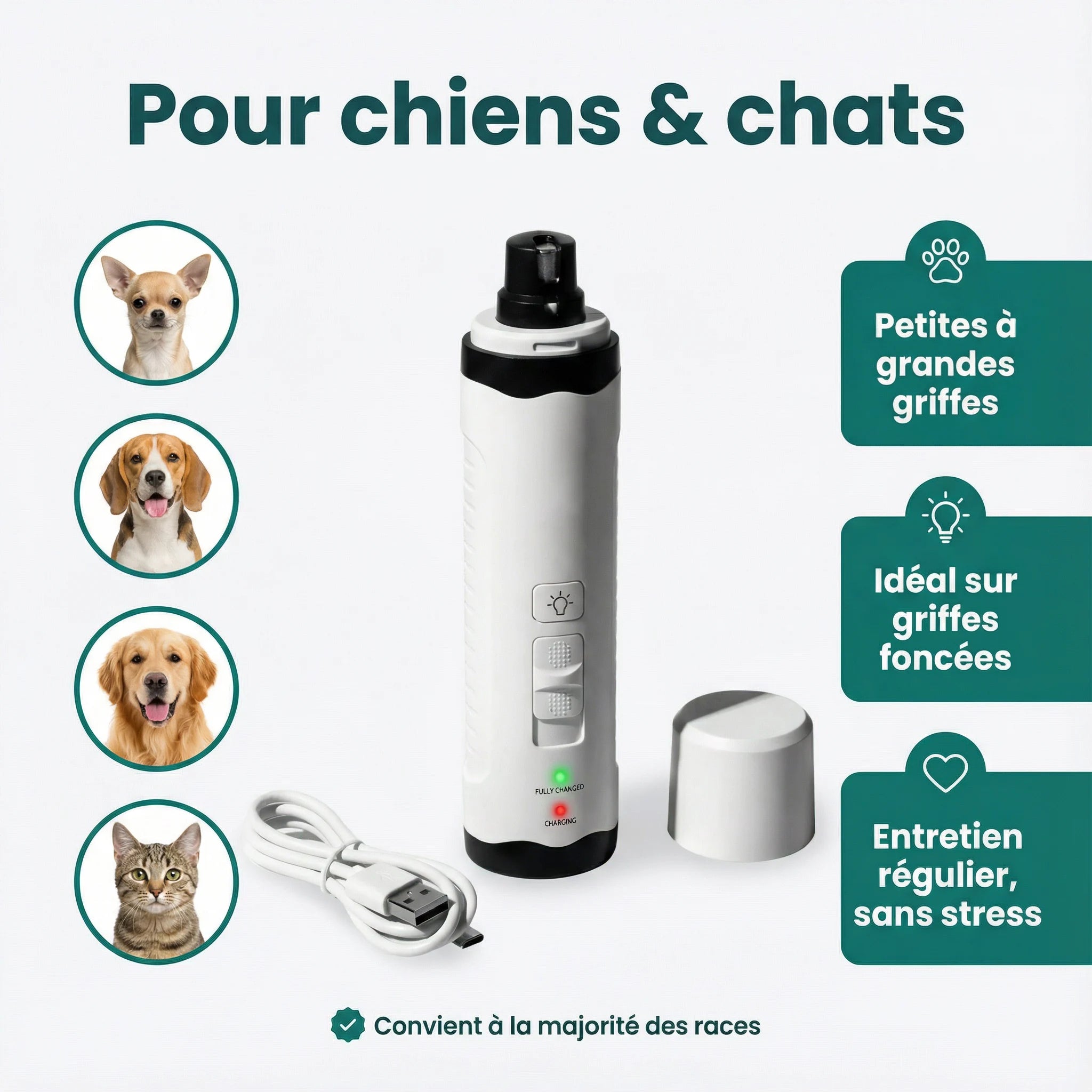 Lime électrique LimePat™